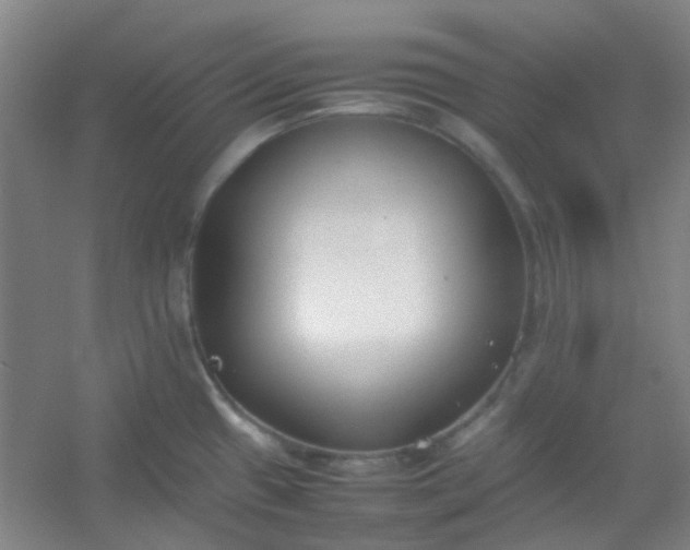 X0000054431433200508121807