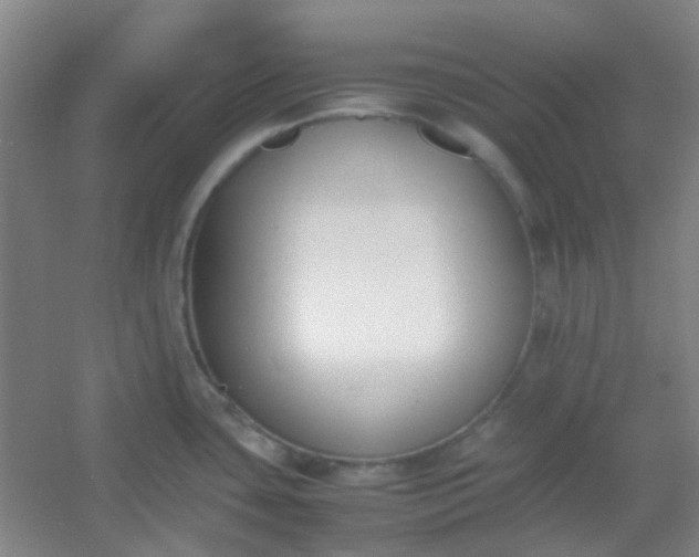 X0000054431435200508121807