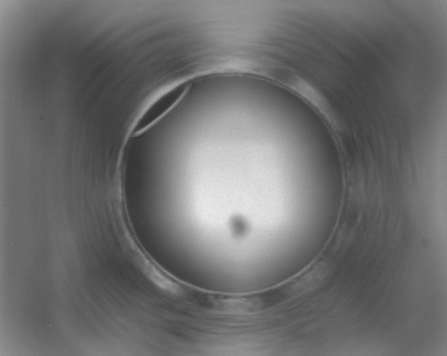 X0000054431436200508121807