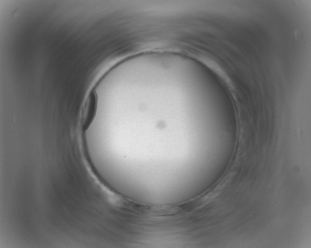 X0000054431440200508121807