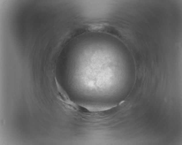 X0000054431441200508121806