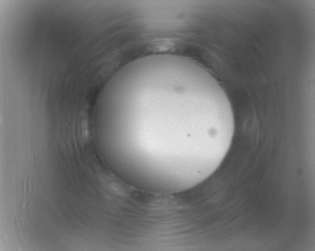 X0000054431442200508121806