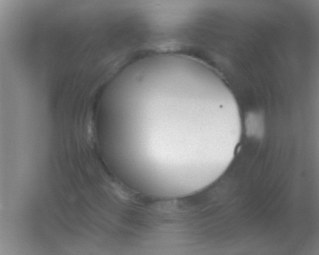 X0000054431444200508121806