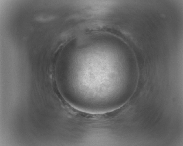 X0000054431445200508121806