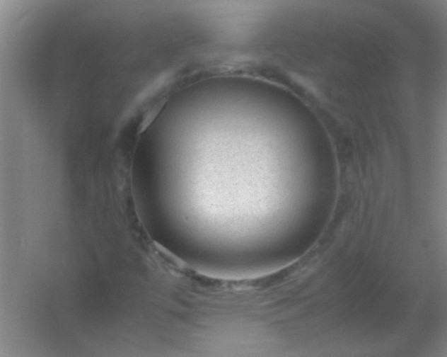 X0000054431447200508121806