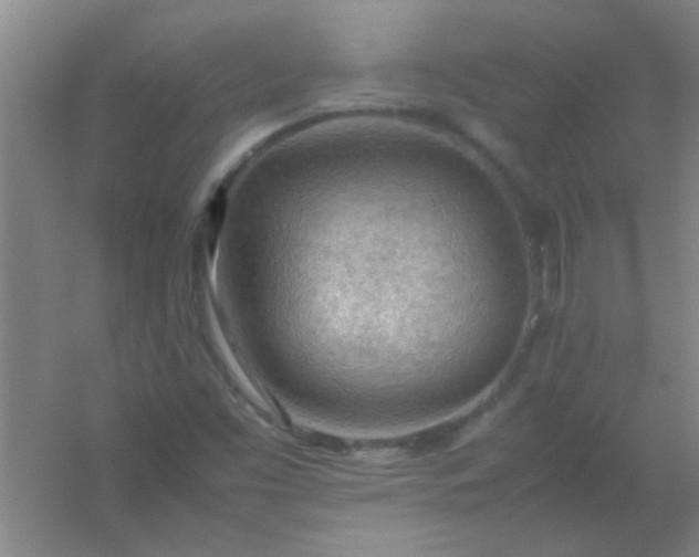 X0000054431453200508121806