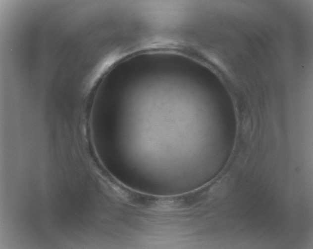 X0000054431455200508121806