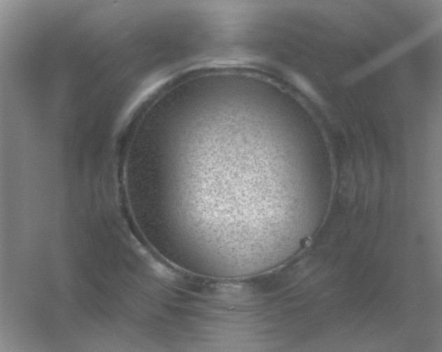 X0000054431456200508121806