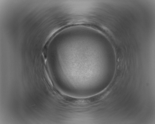 X0000054431457200508121806