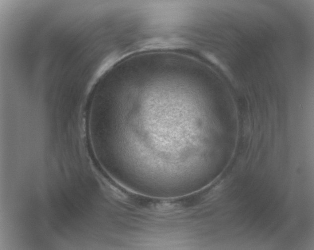 X0000054431459200508121806