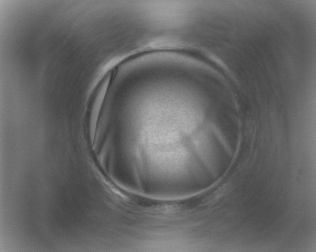 X0000054431461200508121805