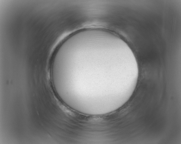 X0000054431462200508121805