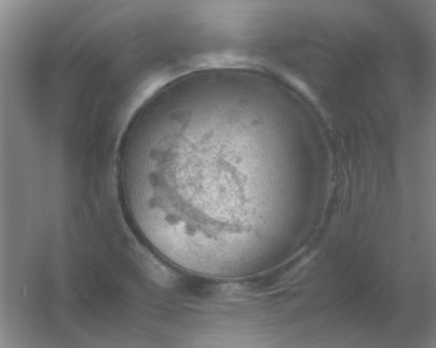 X0000054431463200508121805