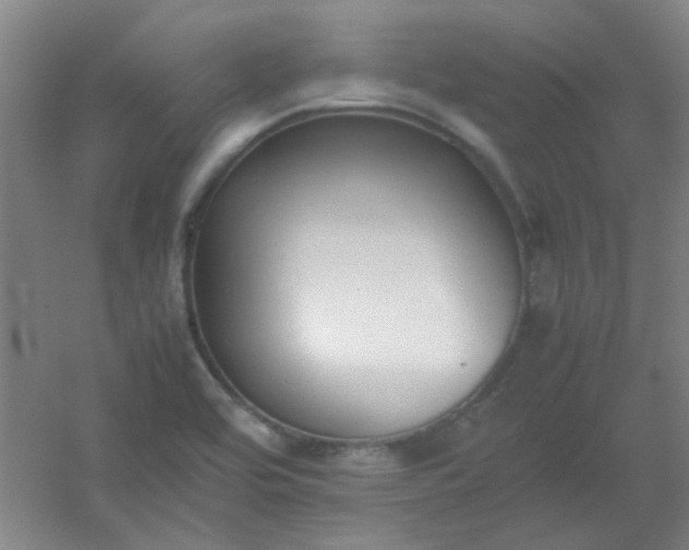 X0000054431464200508121805