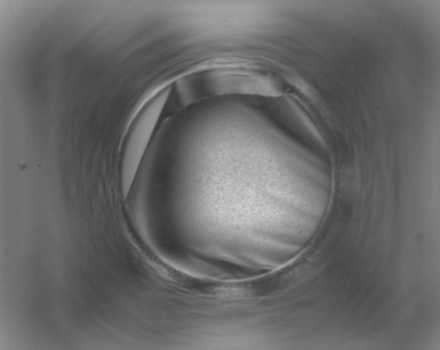 X0000054431465200508121805