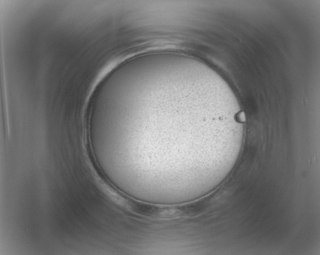 X0000054431467200508121805