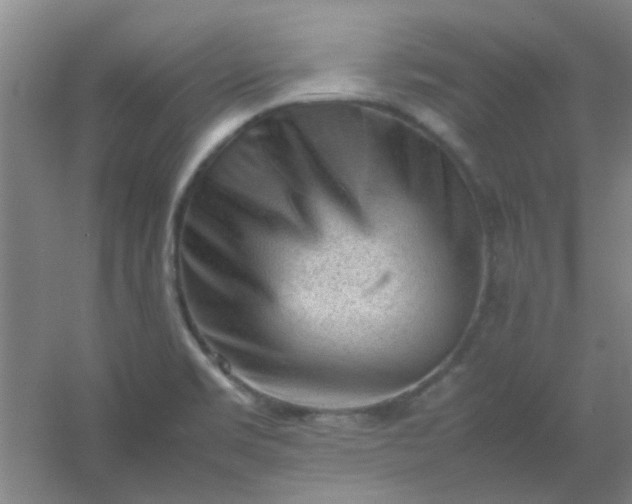 X0000054431469200508121805