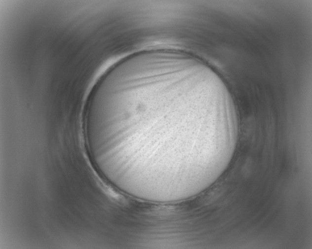 X0000054431470200508121805