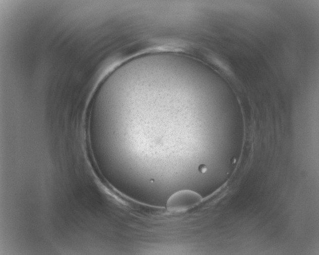 X0000054431471200508121805