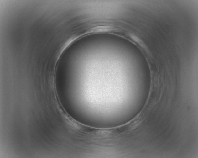 X0000054431473200508121805