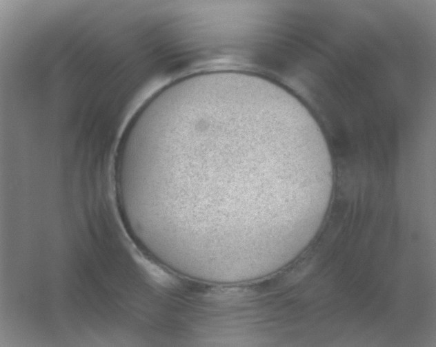 X0000054431474200508121805