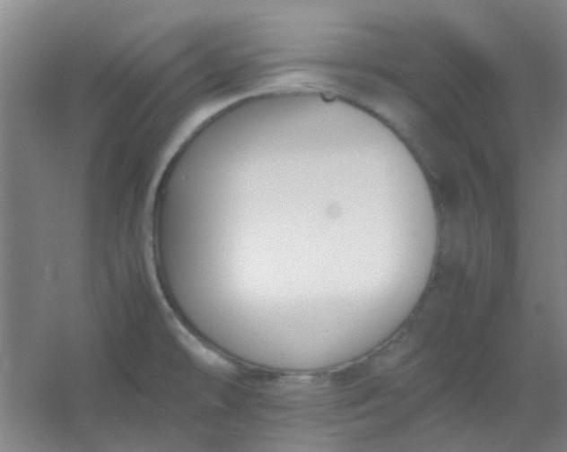 X0000054431478200508121805