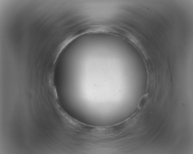 X0000054431481200508121805