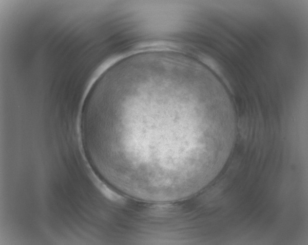 X0000054431482200508121805