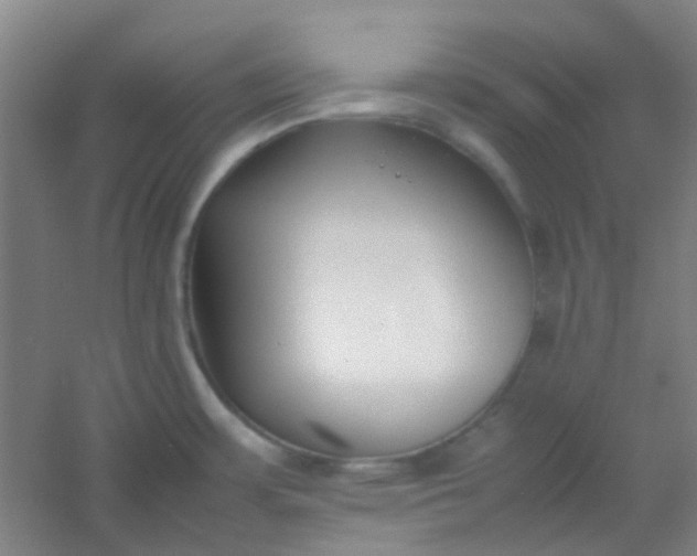 X0000054431483200508121805