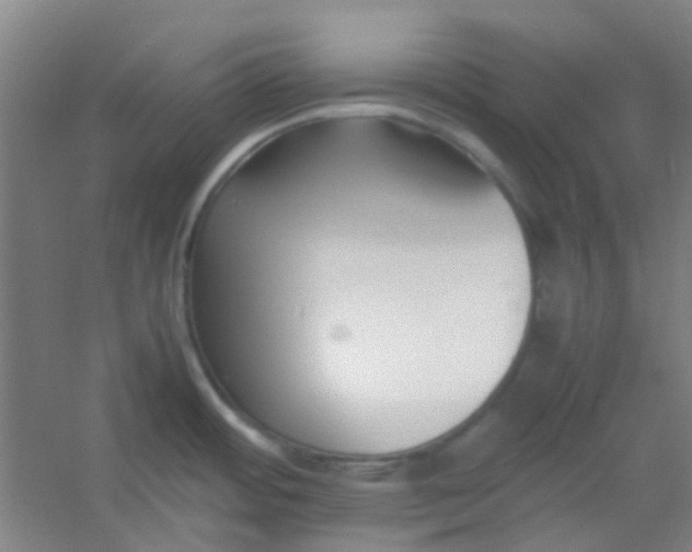 X0000054431484200508121805