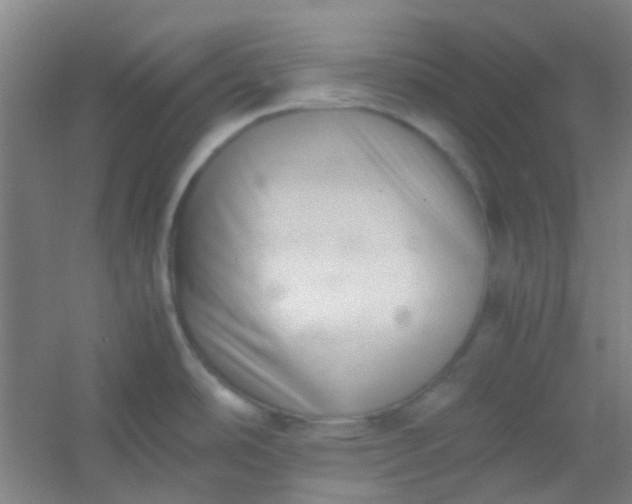 X0000054431486200508121805