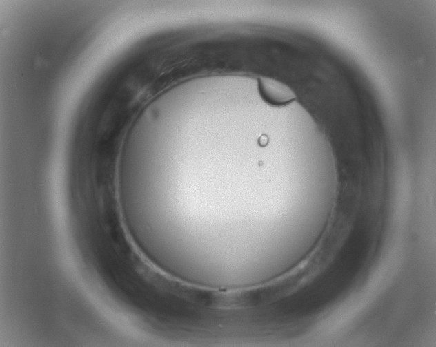 X0000054431487200508121805