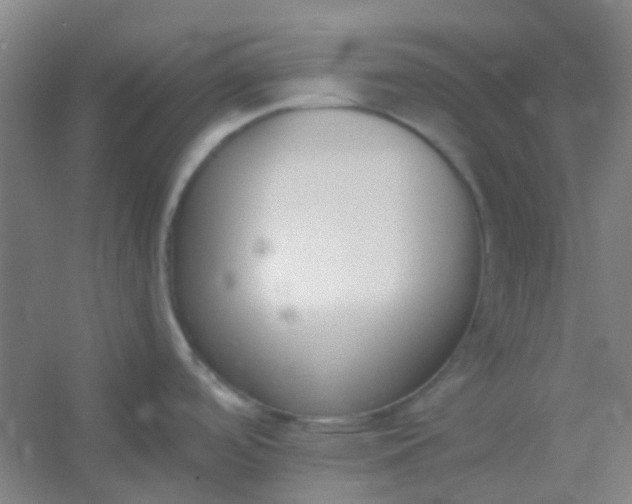 X0000054431488200508121805