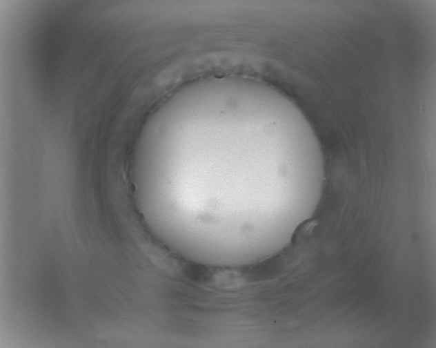 X0000054431489200508121804