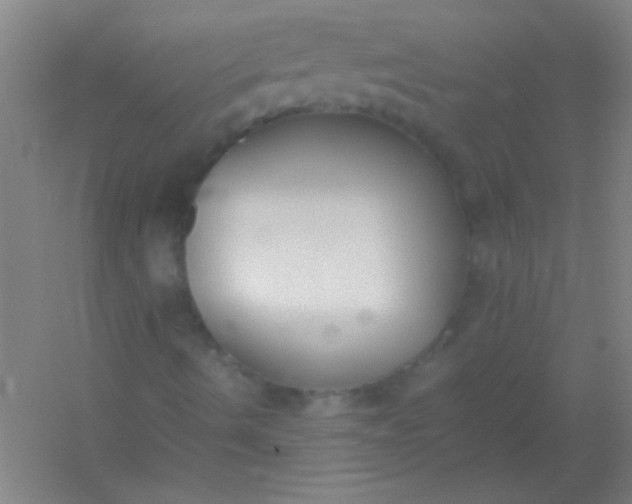 X0000054431490200508121804