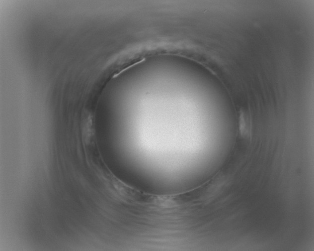 X0000054431492200508121804