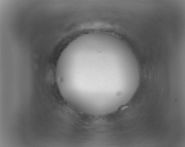 X0000054431493200508121804