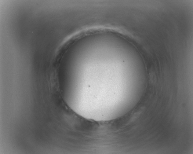 X0000054431494200508121804