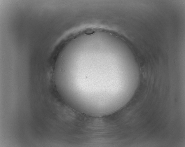 X0000054431495200508121804