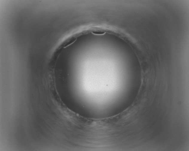 X0000054431496200508121804