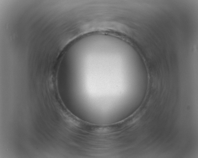 X0000054431497200508121804