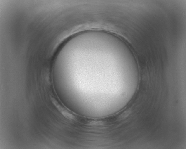 X0000054431499200508121804