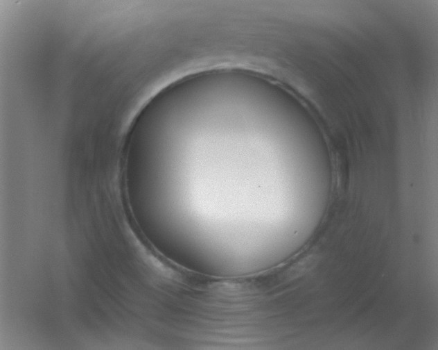 X0000054431500200508121804