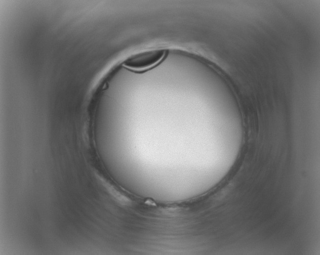 X0000054431502200508121804