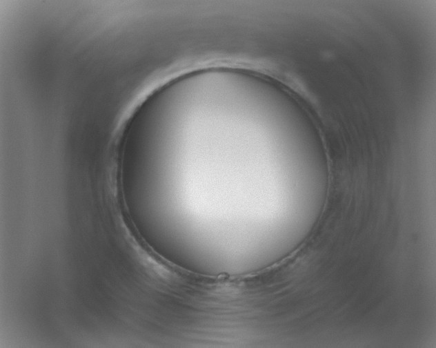 X0000054431504200508121804