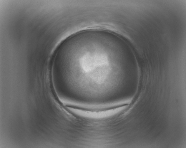 X0000054431506200508121804