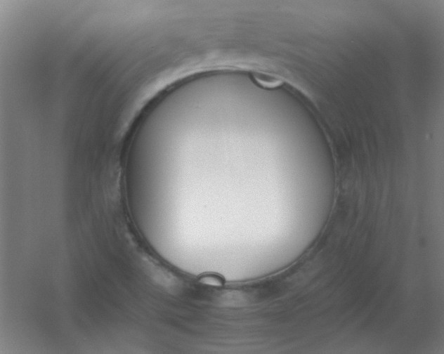 X0000054431507200508121804