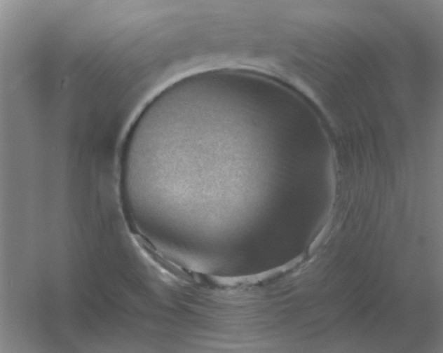 X0000054431508200508121805