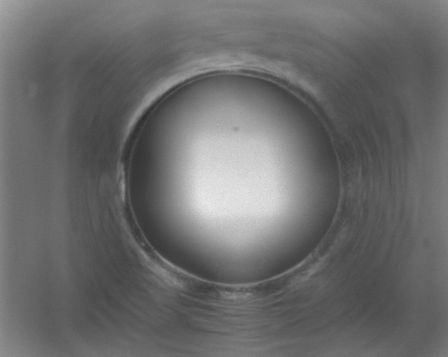 X0000054431509200508121805