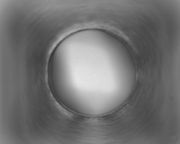 X0000054431512200508121805